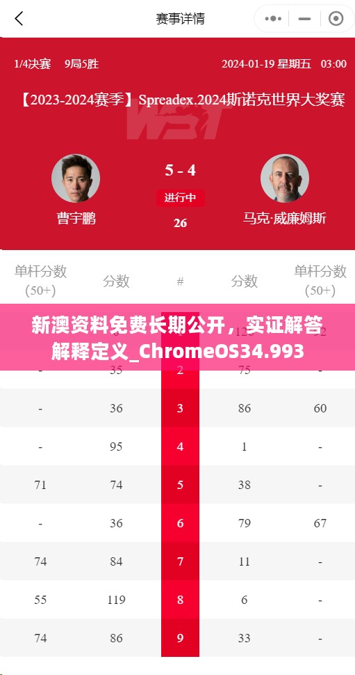新澳资料免费长期公开，实证解答解释定义_ChromeOS34.993
