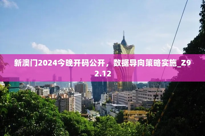 新澳门2024今晚开码公开，数据导向策略实施_Z92.12