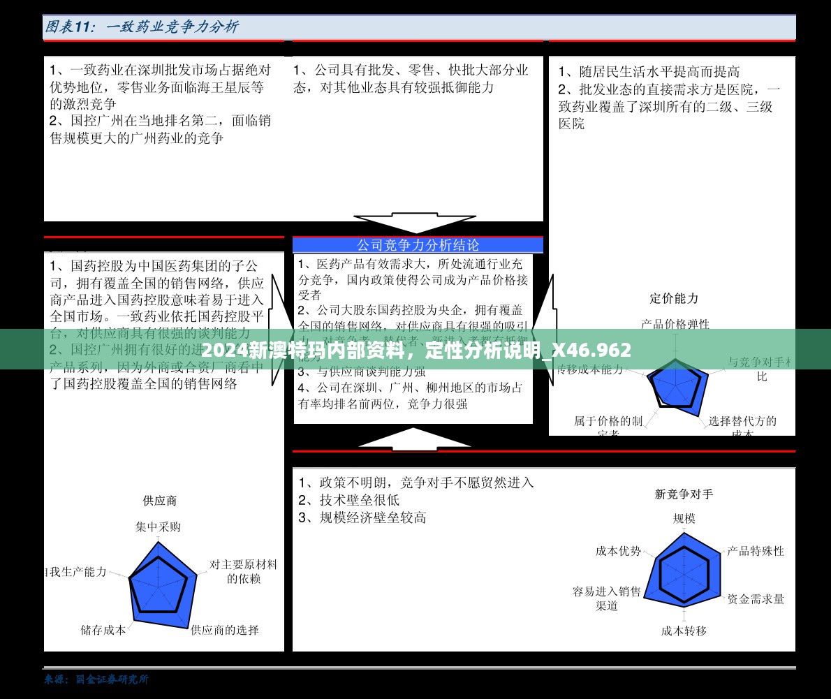 定性分析说明