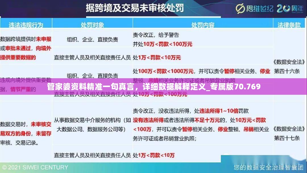 管家婆资料精准一句真言，详细数据解释定义_专属版70.769