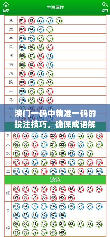 澳门一码中精准一码的投注技巧，确保成语解析_潮流版69.576