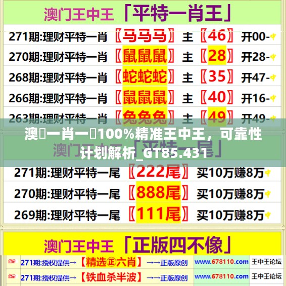 澳門一肖一碼100%精准王中王，可靠性计划解析_GT85.431