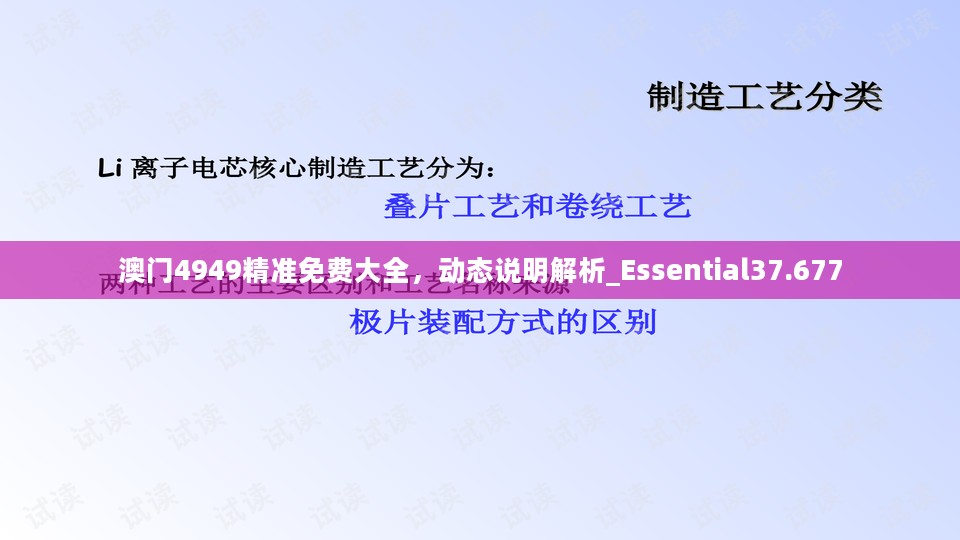 澳门4949精准免费大全，动态说明解析_Essential37.677