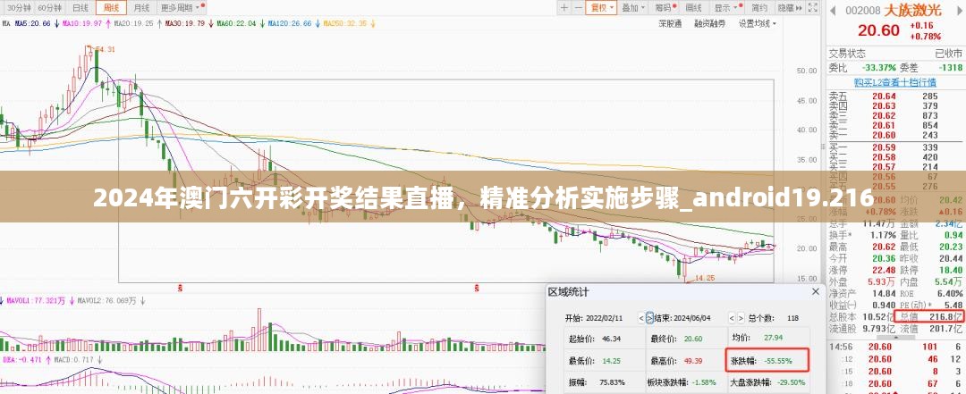 精准分析实施步骤（或违法犯罪）