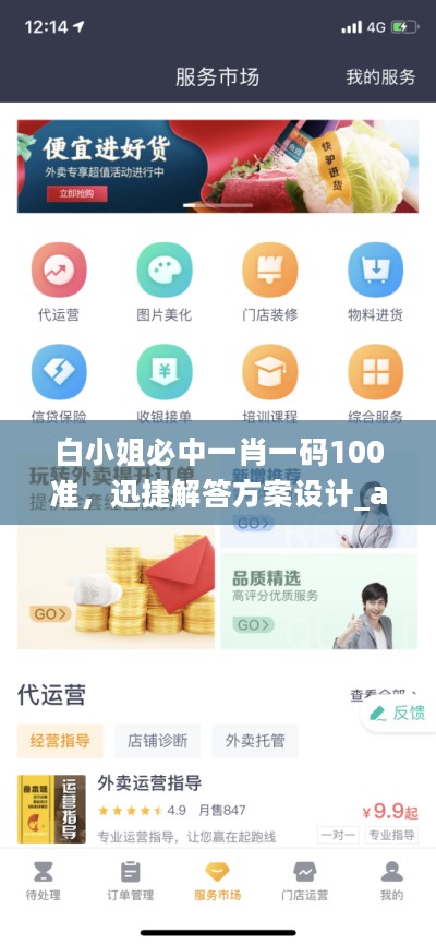 白小姐必中一肖一码100准，迅捷解答方案设计_app47.79