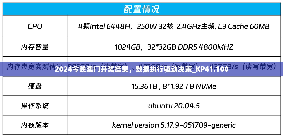 2024今晚澳门开奖结果，数据执行驱动决策_KP41.100