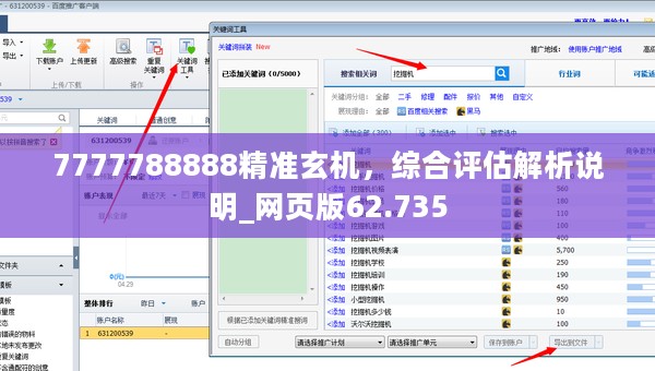 7777788888精准玄机，综合评估解析说明_网页版62.735