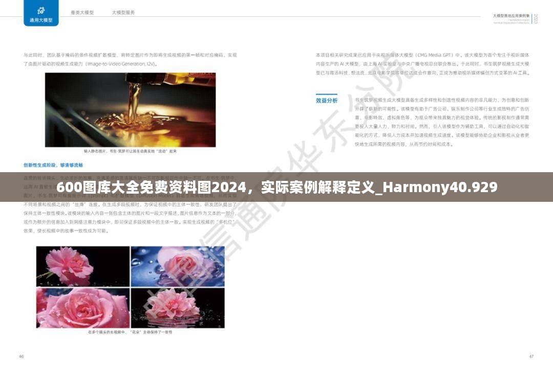 600图库大全免费资料图2024，实际案例解释定义_Harmony40.929