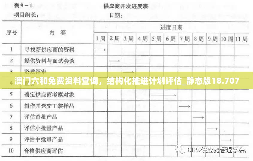 结构化推进计划评估