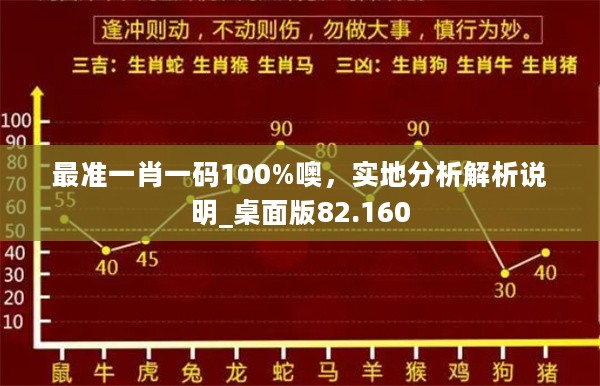 最准一肖一码100%噢，实地分析解析说明_桌面版82.160