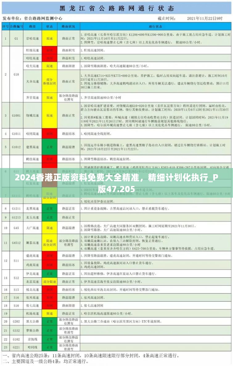 2024香港正版资料免费大全精准，精细计划化执行_P版47.205