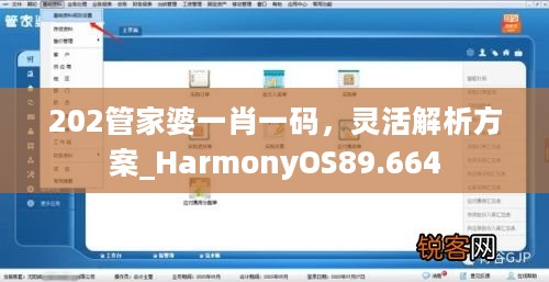 202管家婆一肖一码，灵活解析方案_HarmonyOS89.664