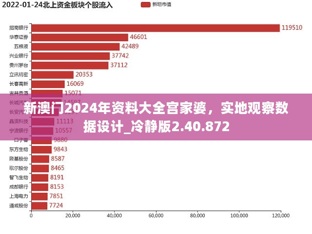 新澳门2024年资料大全宫家婆，实地观察数据设计_冷静版2.40.872