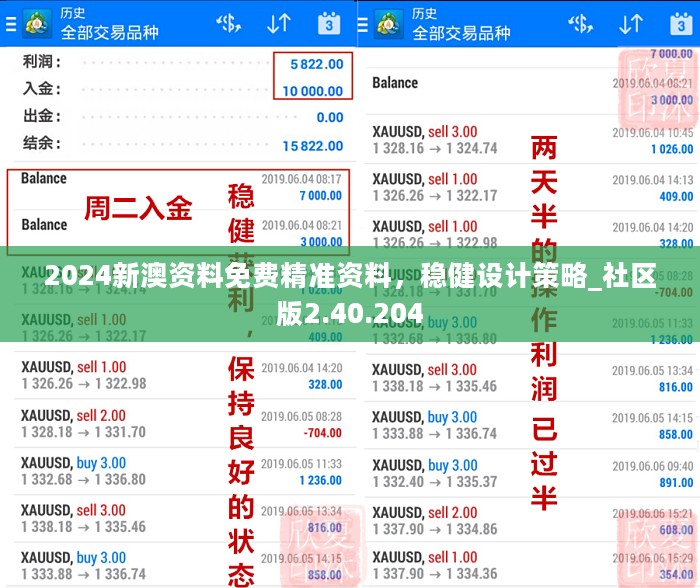 2024新澳资料免费精准资料，稳健设计策略_社区版2.40.204