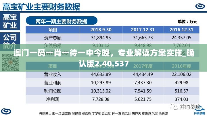 澳门一码一肖一待一中今晚，专业解读方案实施_确认版2.40.537