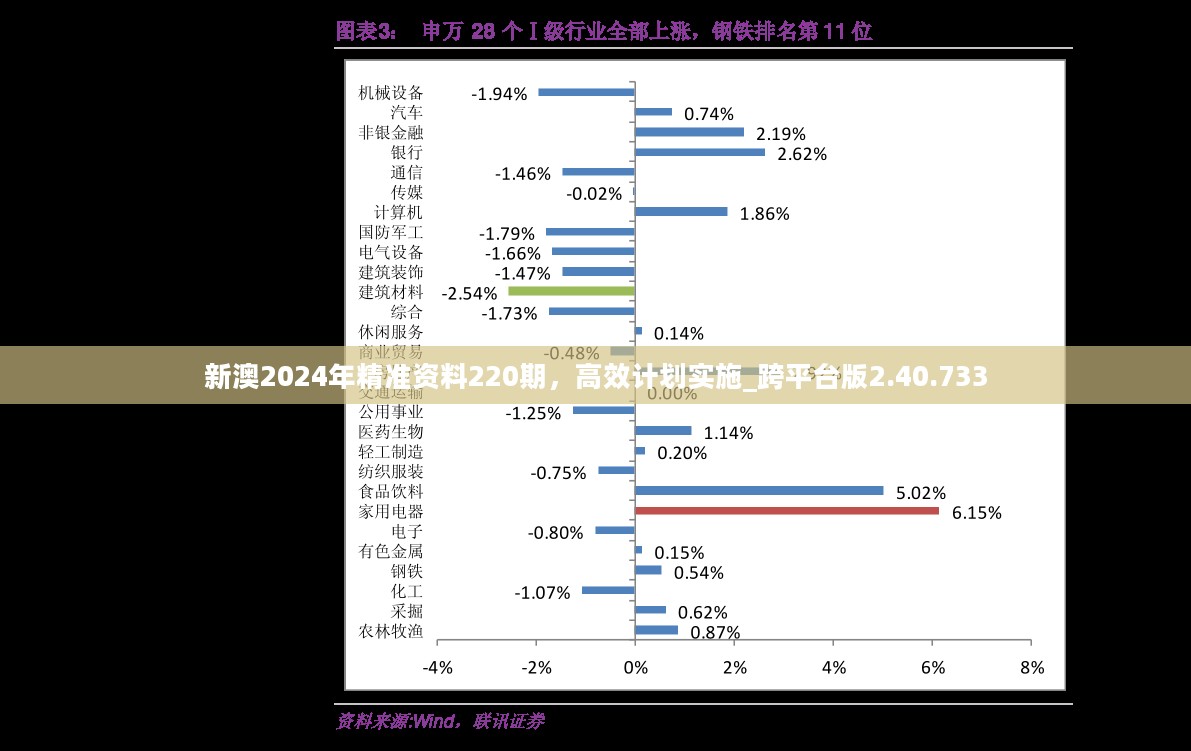 新澳2024年精准资料220期，高效计划实施_跨平台版2.40.733