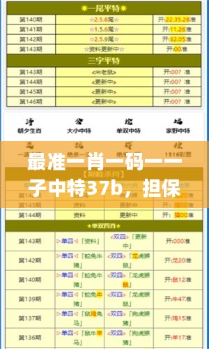 最准一肖一码一一子中特37b，担保计划执行法策略_变革版2.40.663