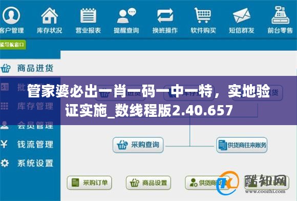管家婆必出一肖一码一中一特，实地验证实施_数线程版2.40.657