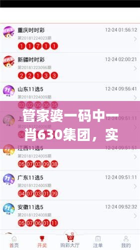 管家婆一码中一肖630集团，实地观察解释定义_可靠版2.40.257