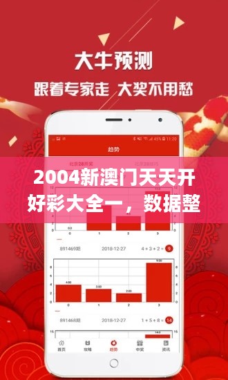 2004新澳门天天开好彩大全一，数据整合解析计划_设计师版2.40.675