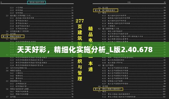 天天好彩，精细化实施分析_L版2.40.678