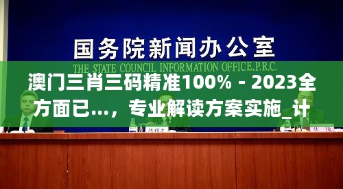 澳门三肖三码精准100% - 2023全方面已...，专业解读方案实施_计算版2.40.495