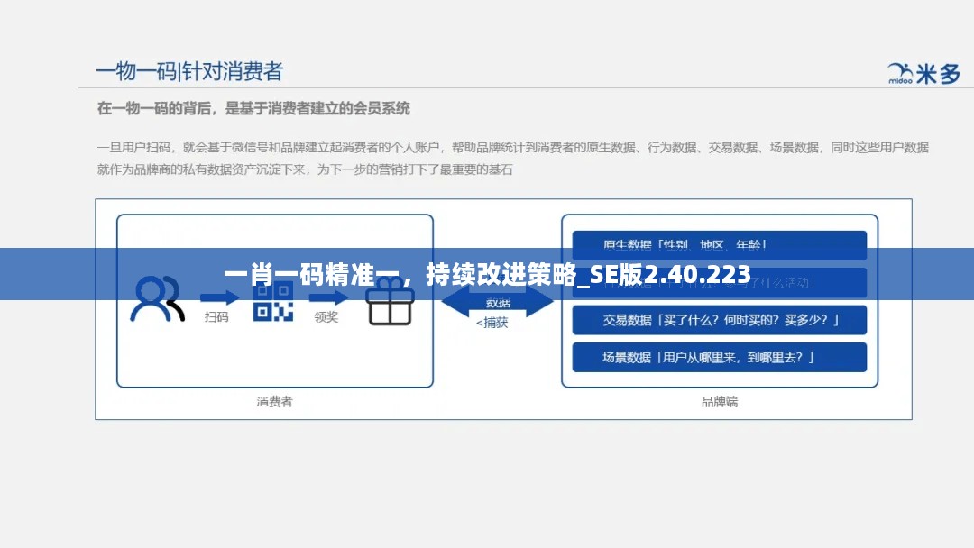 一肖一码精准一，持续改进策略_SE版2.40.223