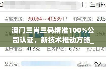 澳门三肖三码精准100%公司认证，新技术推动方略_远光版2.40.688