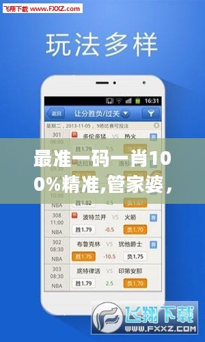 最准一码一肖100%精准,管家婆，科学依据解释定义_GM版84.84.58