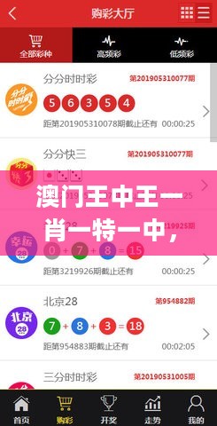 澳门王中王一肖一特一中，实证解读说明_iShop50.58.95