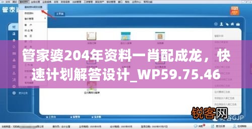 管家婆204年资料一肖配成龙，快速计划解答设计_WP59.75.46