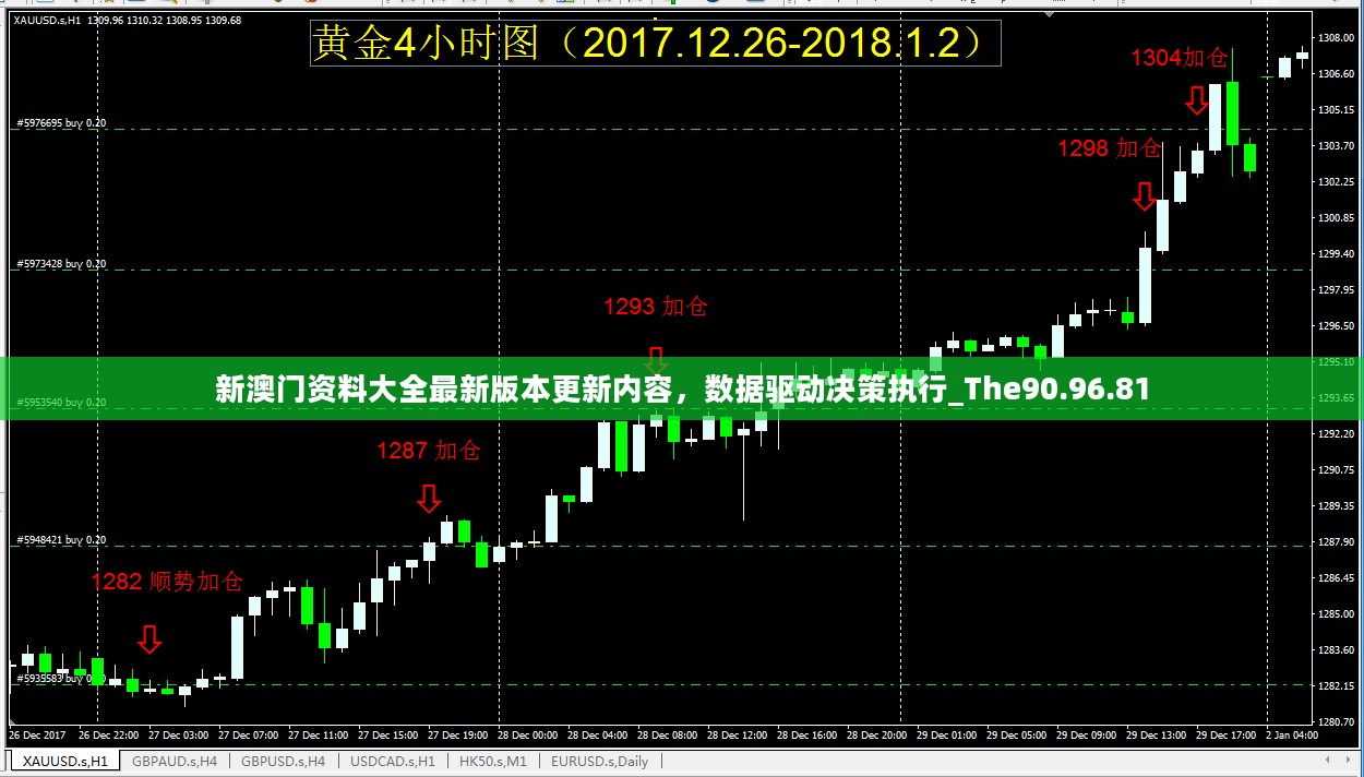 新澳门资料大全最新版本更新内容，数据驱动决策执行_The90.96.81