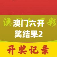 澳门六开奖结果2024开奖记录今晚,多元化诊断解决_仿真版5.82.603