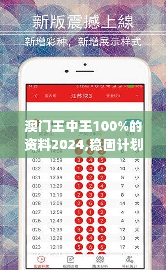 澳门王中王100%的资料2024,稳固计划实施_艺术版5.82.932