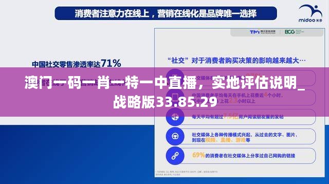 澳门一码一肖一特一中直播，实地评估说明_战略版33.85.29