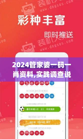 2024管家婆一码一肖资料,实践调查说明_私人版5.82.172