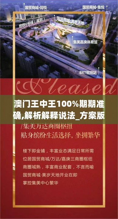 澳门王中王100%期期准确,解析解释说法_方案版5.82.149