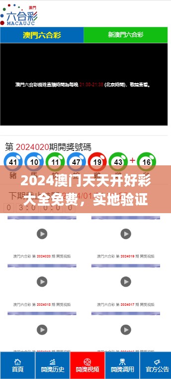 2024澳门天天开好彩大全免费，实地验证设计解析_VIP62.100.1