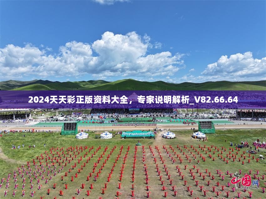 2024天天彩正版资料大全，专家说明解析_V82.66.64