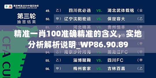 精准一肖100准确精准的含义，实地分析解析说明_WP86.90.89