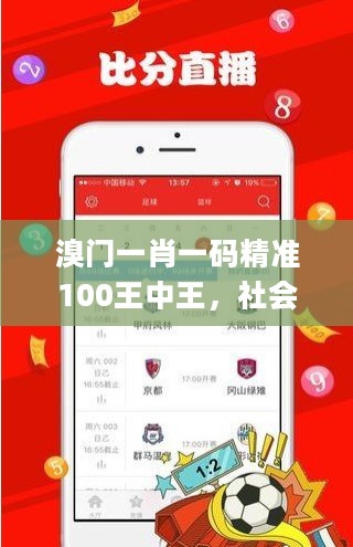 溴门一肖一码精准100王中王，社会责任方案执行_iPad76.83.10