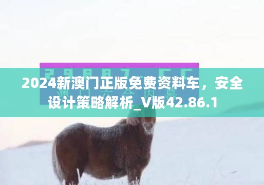 2024新澳门正版免费资料车，安全设计策略解析_V版42.86.1