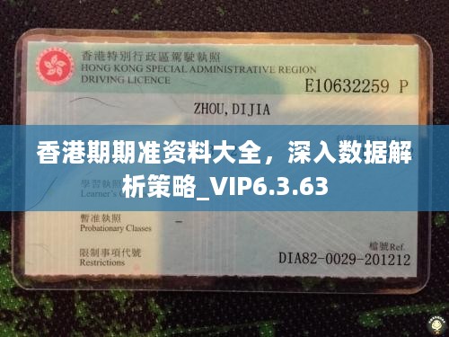 香港期期准资料大全，深入数据解析策略_VIP6.3.63