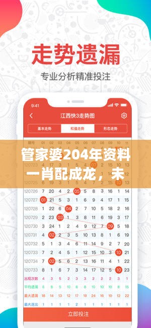 管家婆204年资料一肖配成龙，未来规划解析说明_ios6.11.90