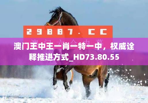 澳门王中王一肖一特一中，权威诠释推进方式_HD73.80.55