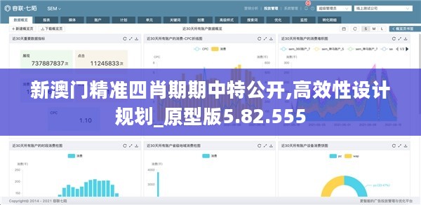 新澳门精准四肖期期中特公开,高效性设计规划_原型版5.82.555