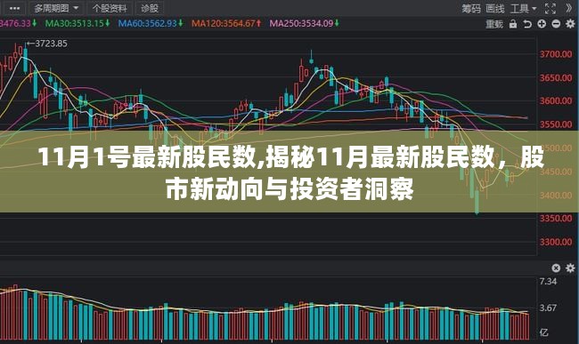 11月1号最新股民数,揭秘11月最新股民数，股市新动向与投资者洞察