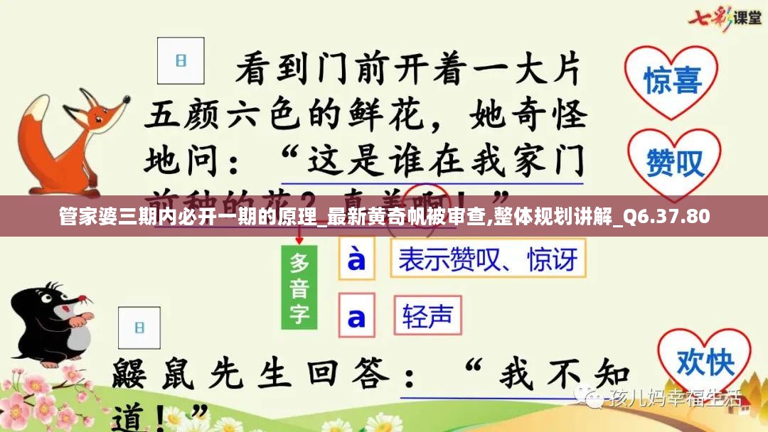 管家婆三期内必开一期的原理_最新黄奇帆被审查,整体规划讲解_Q6.37.80