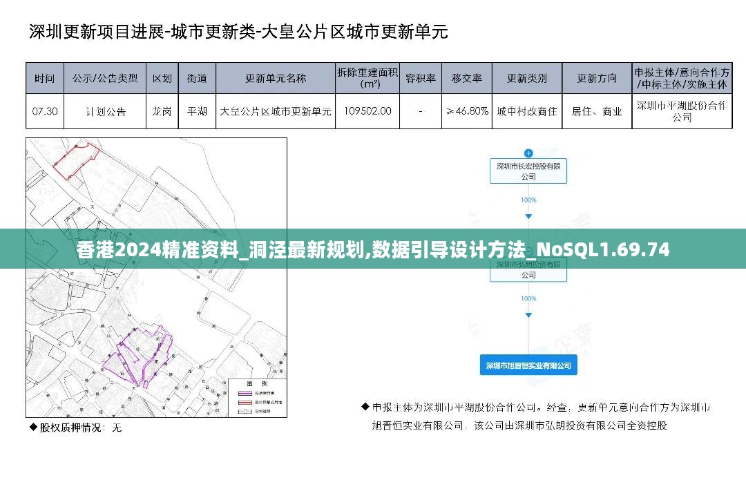 香港2024精准资料_洞泾最新规划,数据引导设计方法_NoSQL1.69.74