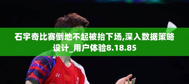 石宇奇比赛倒地不起被抬下场,深入数据策略设计_用户体验8.18.85